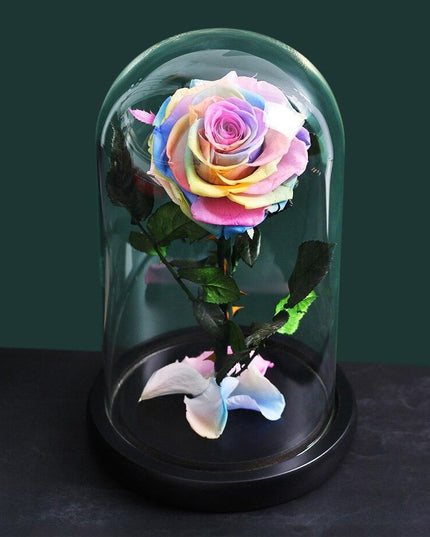 Timeless Romance: Stunning Preserved Rose in Glass Cloche - Authentic Bloom, Lasting Elegance, Enduring Beauty
