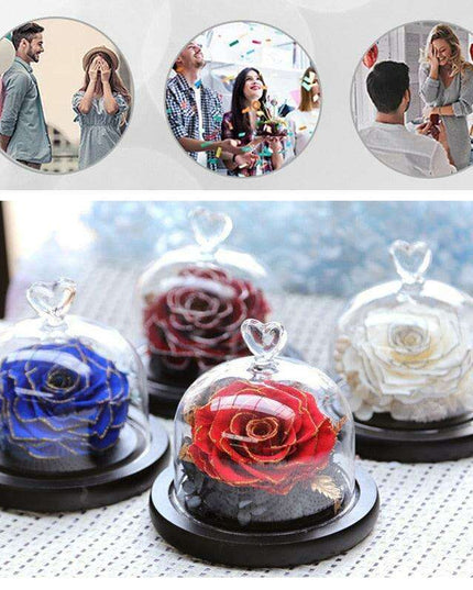 Eternal Elegance: Preserved Rose in Glass Dome with Opulent Gold Accents
