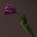 Luxurious Botanica Parrot Tulip Silk Floral Arrangement - Elegant Home Décor Option