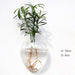 Nordic Style Glass Wall Vase for Elegant Home Decor
