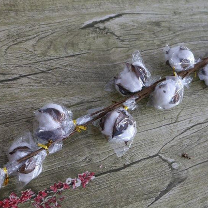 Charming Dried Cotton Flower Arrangement - A Touch of Nature for Home and Weddings