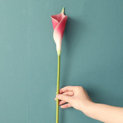 Chic Set of 5 Lifespan PU Calla Lily Stems - 65cm Realistic Artificial Flowers