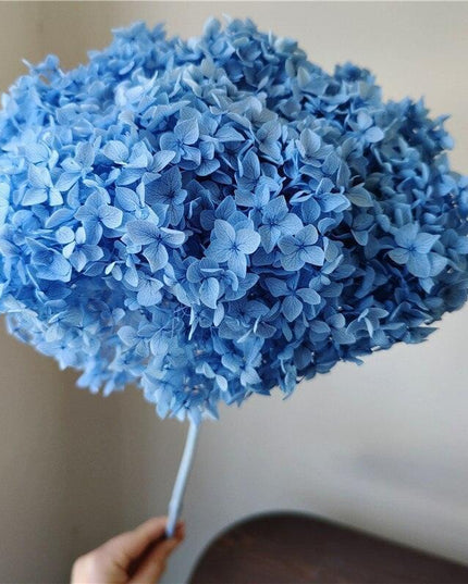 Hydrangea Elegance: Ultimate Dried Flower Arrangement Kit