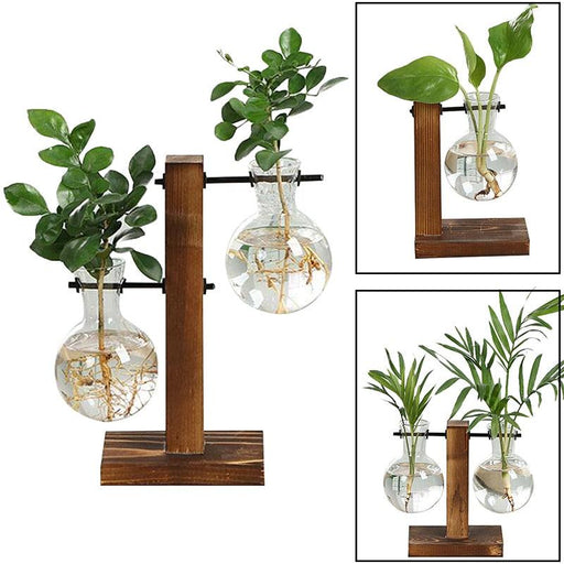 Vintage Glass Terrarium Plant Vases on Wooden Stand - Elegant Botanical Display for Home and Garden