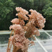 Rustic Elegance Dried Flower Garland Crafting Kit - DIY Home Decor & Craft Bundle