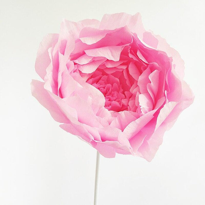 Elegant DIY Kit for Creating Stunning Giant Peony Paper Flowers