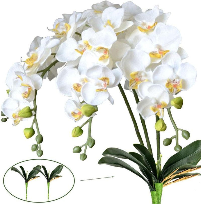 Premium Artificial Butterfly Orchid Flowers - Transform Your Space with Elegance
