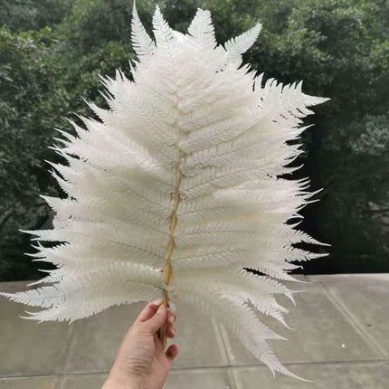 Eternal Green Fiddlehead Ferns Set - 10 Pieces (25x40cm)