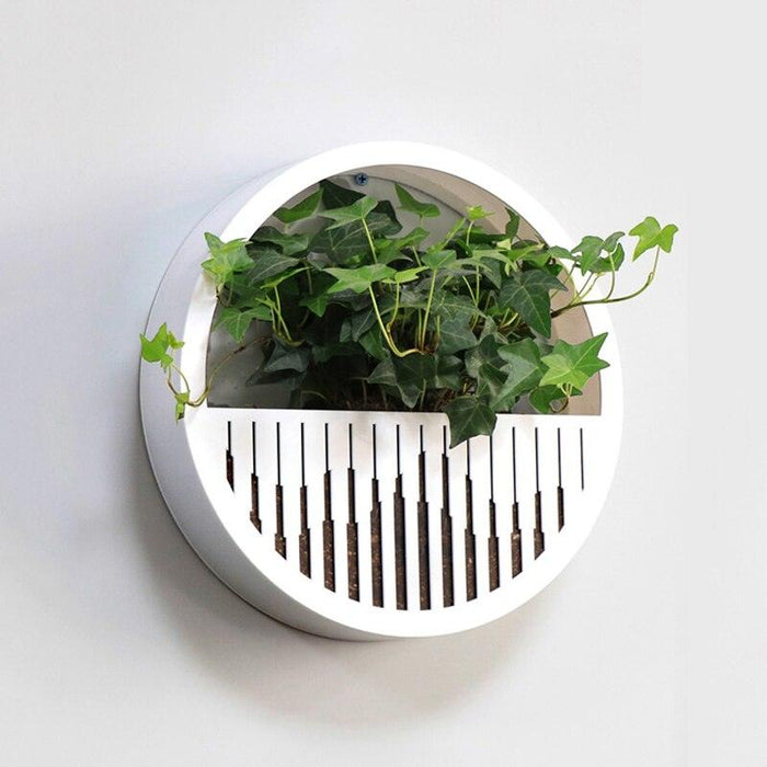Circular Acrylic Hanging Wall Vase with Modern Plant Holder