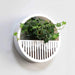 Contemporary Circular Acrylic Wall Vase with Hanging Plant Holder