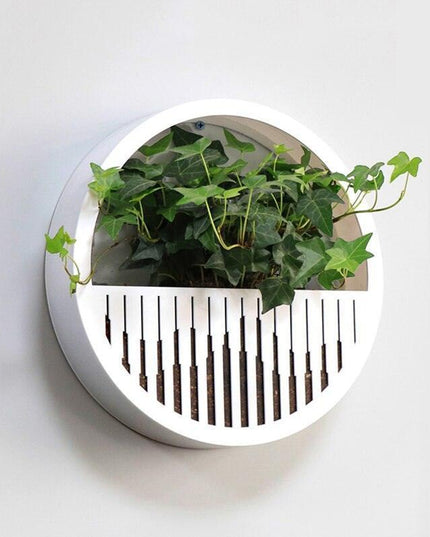 Sleek Circular Acrylic Wall Planter for Modern Plant Display