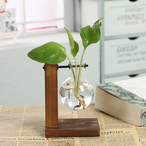 Vintage Wooden Frame Plant Vase - Elegant Terrarium for Bonsai and Indoor Plants