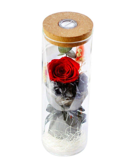 Eternal Blossom Rose - Enchanted Glass Dome Keepsake