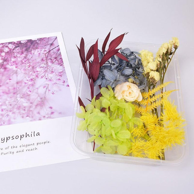 Eternal Floral Inspirations: Preserved Petals for Creative Expressions