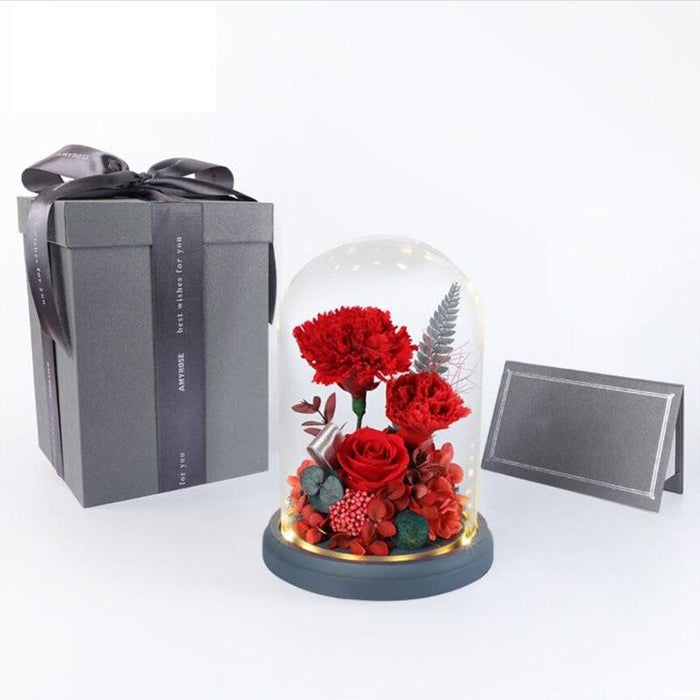 Valentine's Day Gift - Everlasting Flowers Dried Flower Eternal Rose in Glass Dome with LED