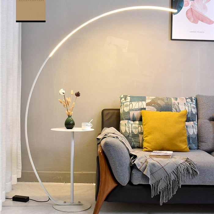 Adjustable LED Floor Lamp with Remote Control for Custom Warm/Cold Light and RGB Colors