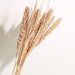 Bohemian Charm Dried Floral Arrangement Set - Elegant Decor for Home and Events