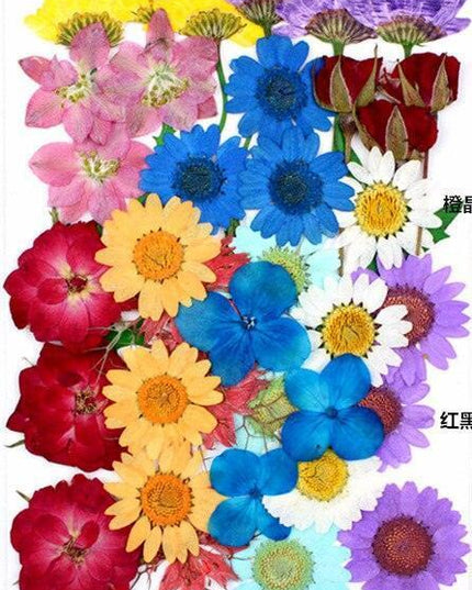 Luxurious Pressed Floral Collection: Aesthetic Inspirations for Creative Projects