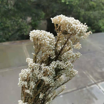 Rustic Floral DIY Garland Craft Kit - Elegant Home Decor Set