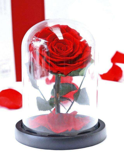 Eternal Elegance: Heart-Shaped Preserved Roses in Glass Dome