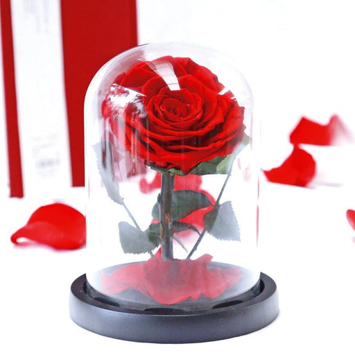 Beauty and The Beast Roses Heart Shape Real Preserved Flowers In Glass Dome Valentine&#39;s Day Wedding Christmas Birthday Gifts-Home Décor›Flower & Plants›Everlasting & Preserved Fresh Flowers›Dried & Preserved Flora›Everlasting Flowers-Très Elite-red 12x17cm-Très Elite