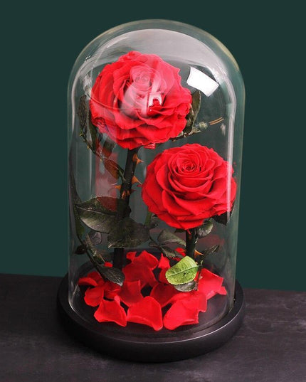 Timeless Romance: Stunning Preserved Rose in Glass Cloche - Authentic Bloom, Lasting Elegance, Enduring Beauty