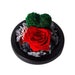 Captivating Glass Rose Lamp in Elegant Dome - A Cherished Emblem of Love