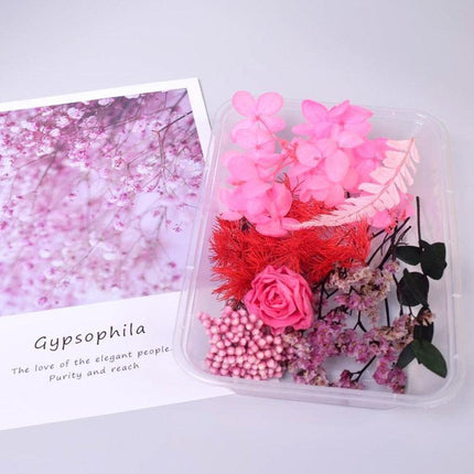 Eternal Floral Inspirations: Preserved Petals for Creative Expressions