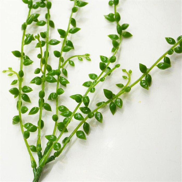 Green Succulent Vine for Indoor and Garden Decor