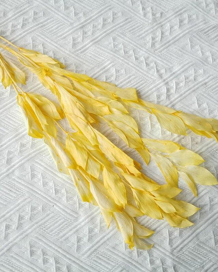 Timeless Elegance: Pack of 5 Preserved Orange Leaf Stems - Natural Floral Decor for Any Occasion