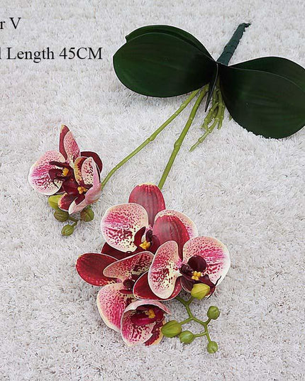 Elegant White Orchid Blooms for Upscale Home and Event Styling