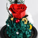 Eternal Rose Encased in Glass Dome - Preserved Flower for Romantic Gifting and Decoration