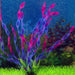 Premium Aquatic Greenery for Elegant Aquarium Enhancement
