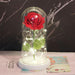 Enchanting Rose Glass Dome with Magical LED Lighting for Timeless Elegance