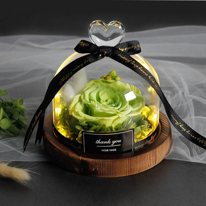 Enchanted Rose Glass Dome with Twinkling LED Lights