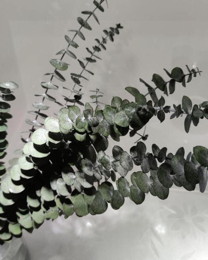 Timeless Eucalyptus and Rose Floral Arrangement for Elegant Home Styling