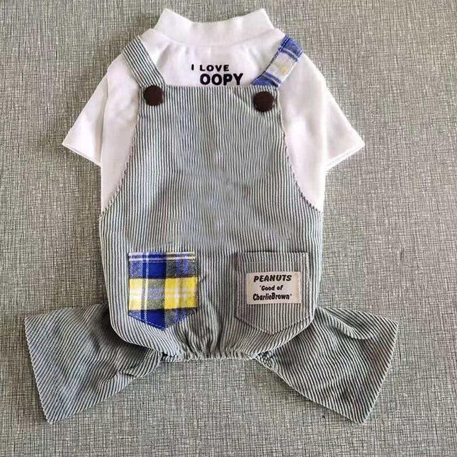 Summer Chic for Small Dogs: Trendy Attire for Petite Pups