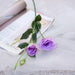 Enchanting Trigeminal Eustoma Flowers - Premium Quality 70cm Bouquet