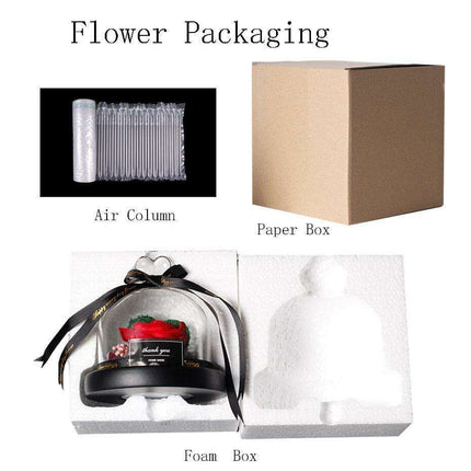 Enchanted Rose Glass Dome with Twinkling LED Lights