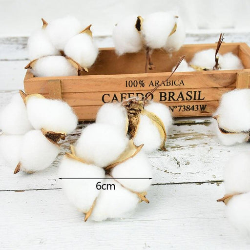 Elegant White Dried Flower Cotton Bundle - Perfect for DIY Wedding & Home Decor