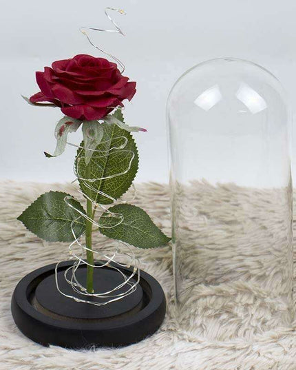 Timeless Elegance Red Pink Rose Glass Dome Display