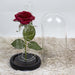 Elegant Glass Cloche Preserved Red Pink Rose Centerpiece