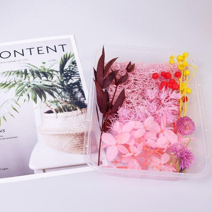 Eternal Floral Inspirations: Preserved Petals for Creative Expressions