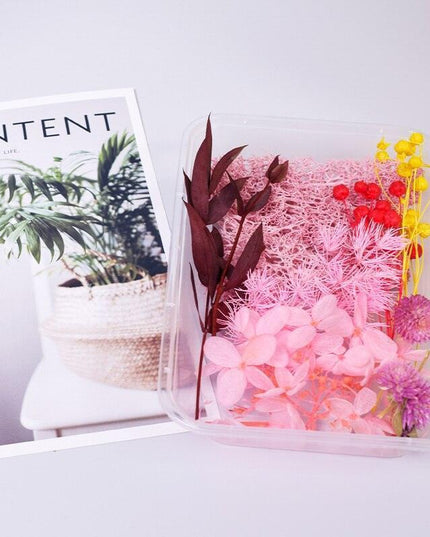 Eternal Floral Inspirations: Preserved Petals for Creative Expressions