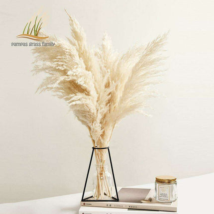 Elegant Vintage White Pampas Grass Bouquet - A Touch of Timeless Charm