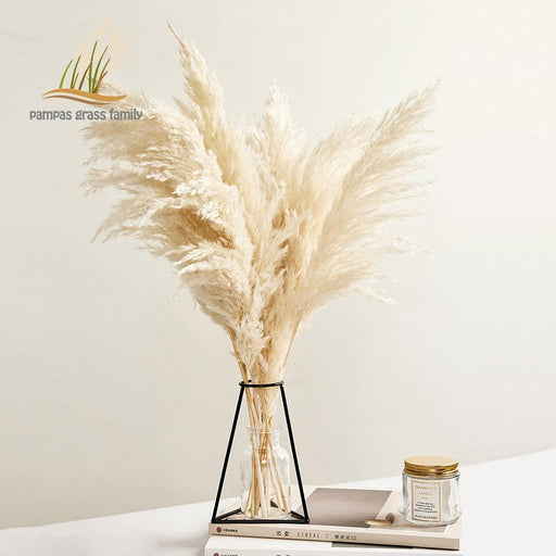 White Pampas Grass Decor Bouquet - Elegant Boho Vintage Style