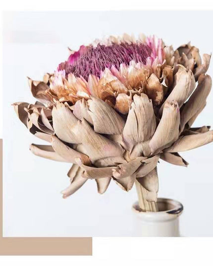 Exquisite Dried Protea Cynaroides Floral Arrangement for Elegant Home Styling