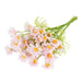 Vibrant Daisy Bouquets Set for Artistic Floral Arrangements