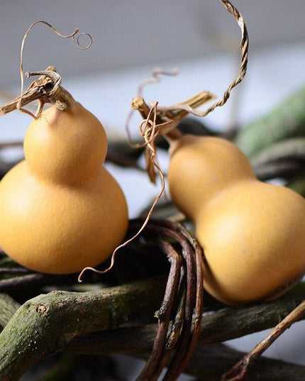 Natural Elegance 10-Piece Dried Gourd and Eternelle Plant Decor Set