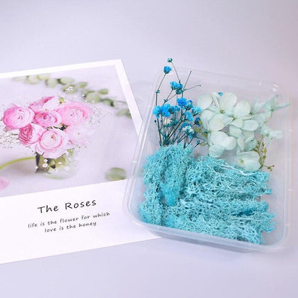 Eternal Floral Inspirations: Preserved Petals for Creative Expressions